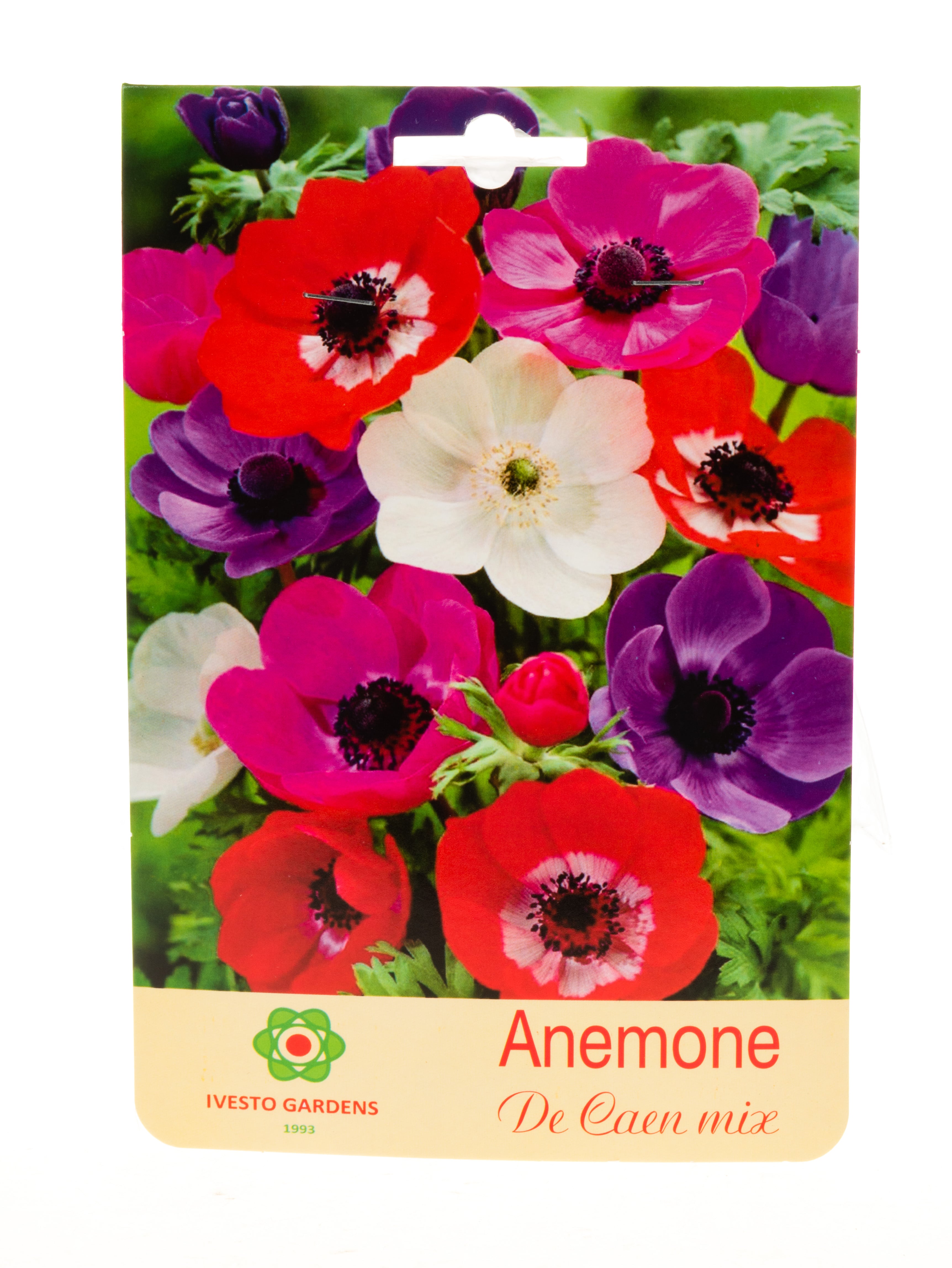 Луковици анемоне / Anemone Mix Ivesto