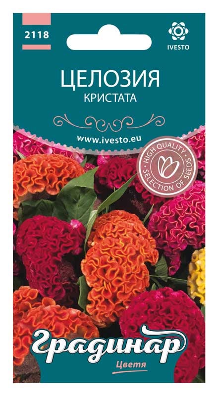 Семена Целозия кристата